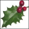 problem Icon